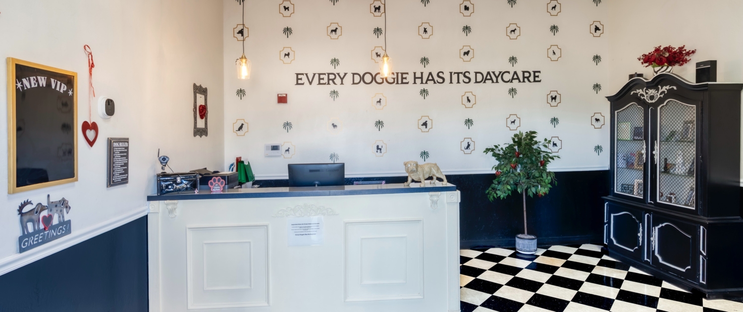 Dogs playing in a supervised group at Every Doggie Has Its Daycare in Peoria